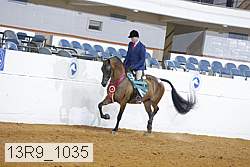 13r9_1035 proof