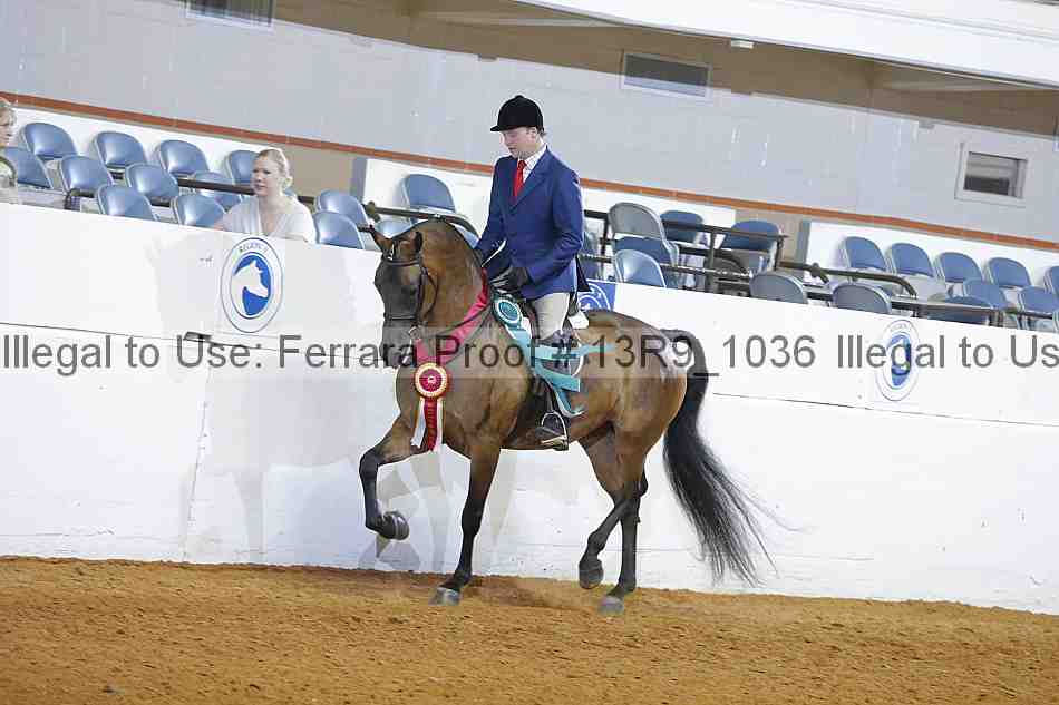 Proof 13r9_1036