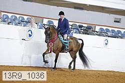 13r9_1036 proof