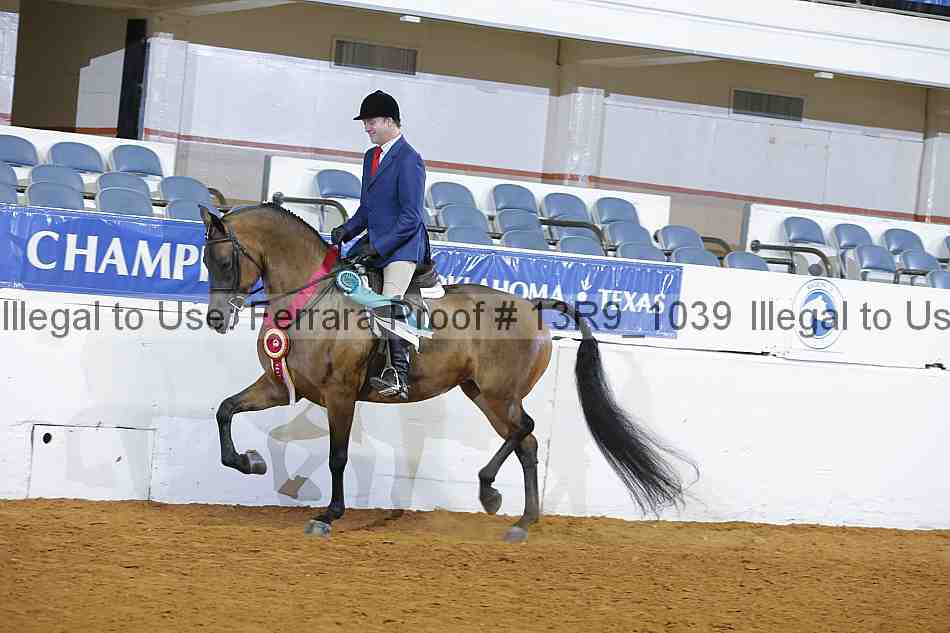 Proof 13r9_1039