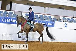 13r9_1039 proof
