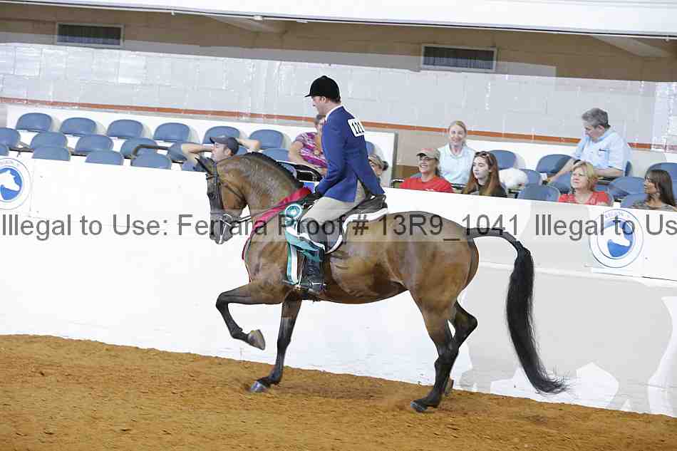 Proof 13r9_1041