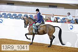 13r9_1041 proof