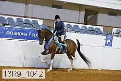 13r9_1042 proof