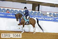 13r9_1044 proof