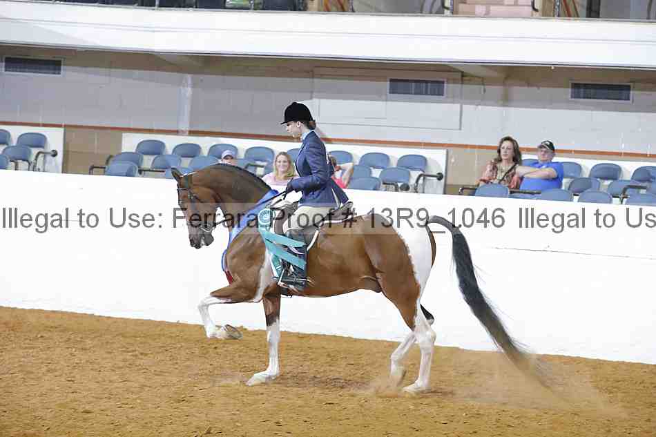 Proof 13r9_1046