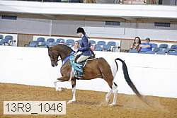 13r9_1046 proof