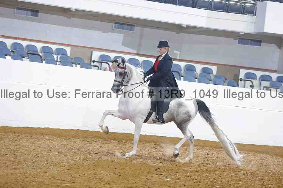 Proof 13r9_1049