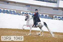 13r9_1049 proof