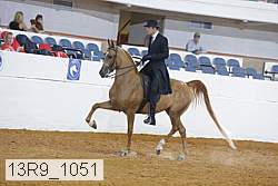 13r9_1051 proof