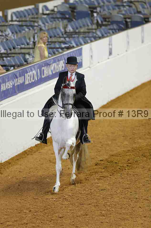 Proof 13r9_1053