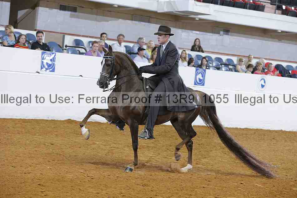 Proof 13r9_1055
