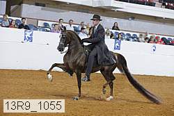13r9_1055 proof