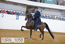 13r9_1056 proof