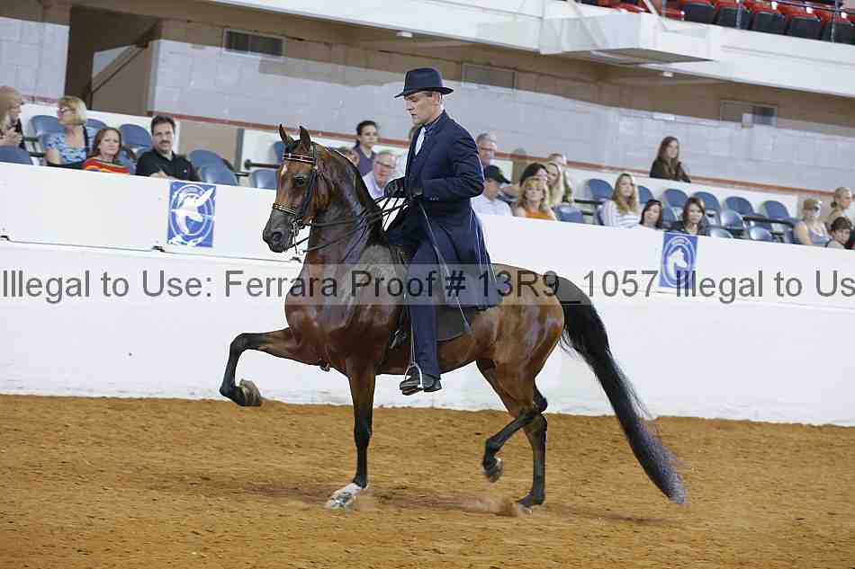 Proof 13r9_1057
