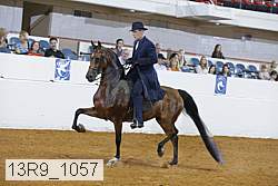 13r9_1057 proof