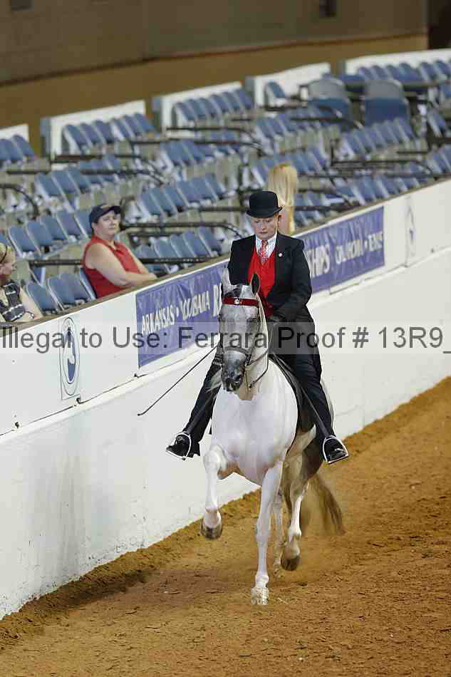 Proof 13r9_1058