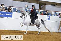 13r9_1060 proof