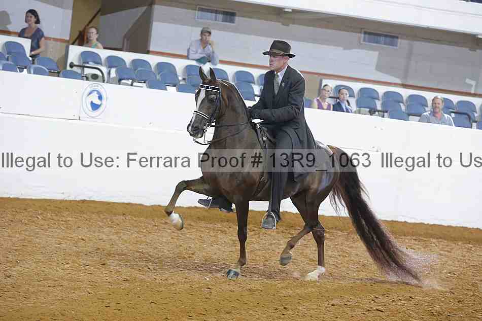 Proof 13r9_1063