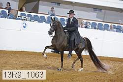 13r9_1063 proof