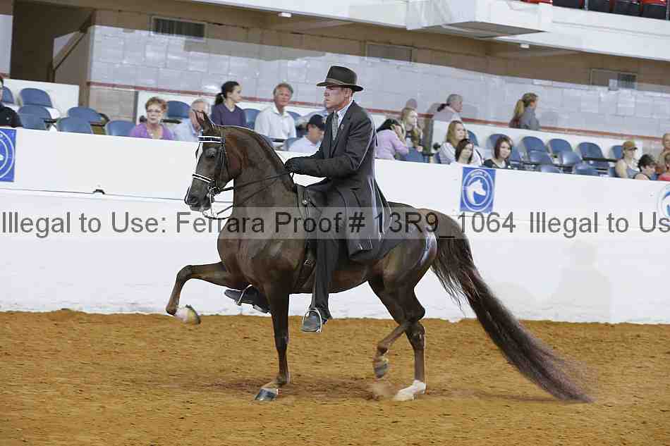 Proof 13r9_1064