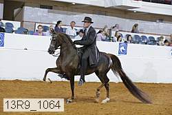 13r9_1064 proof