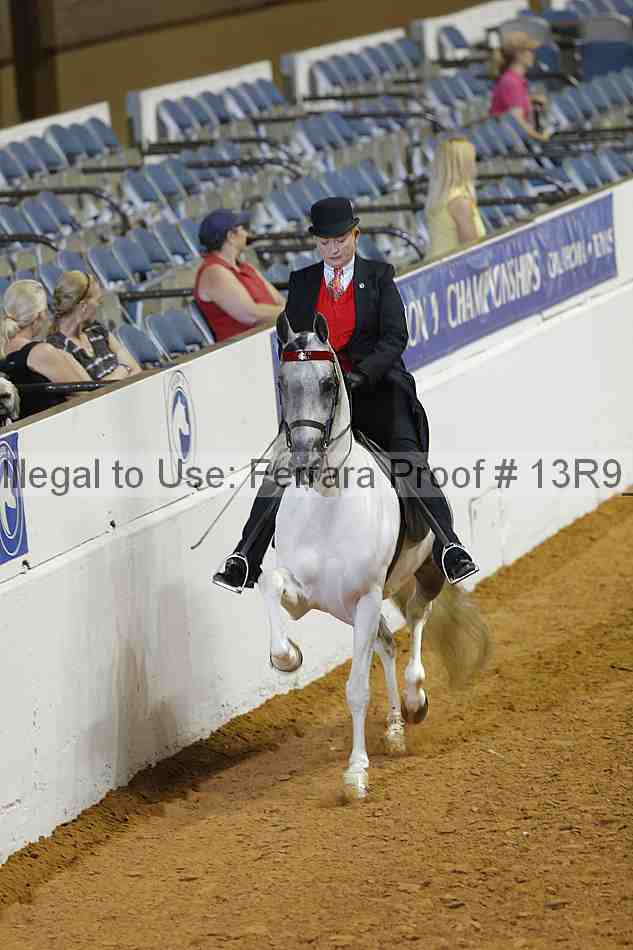 Proof 13r9_1065