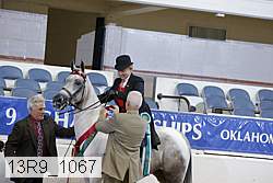 13r9_1067 proof