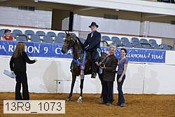 13r9_1073 proof