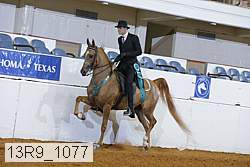 13r9_1077 proof