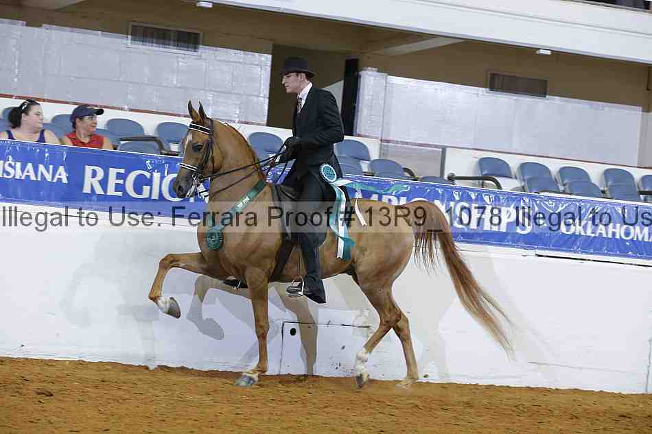 Proof 13r9_1078