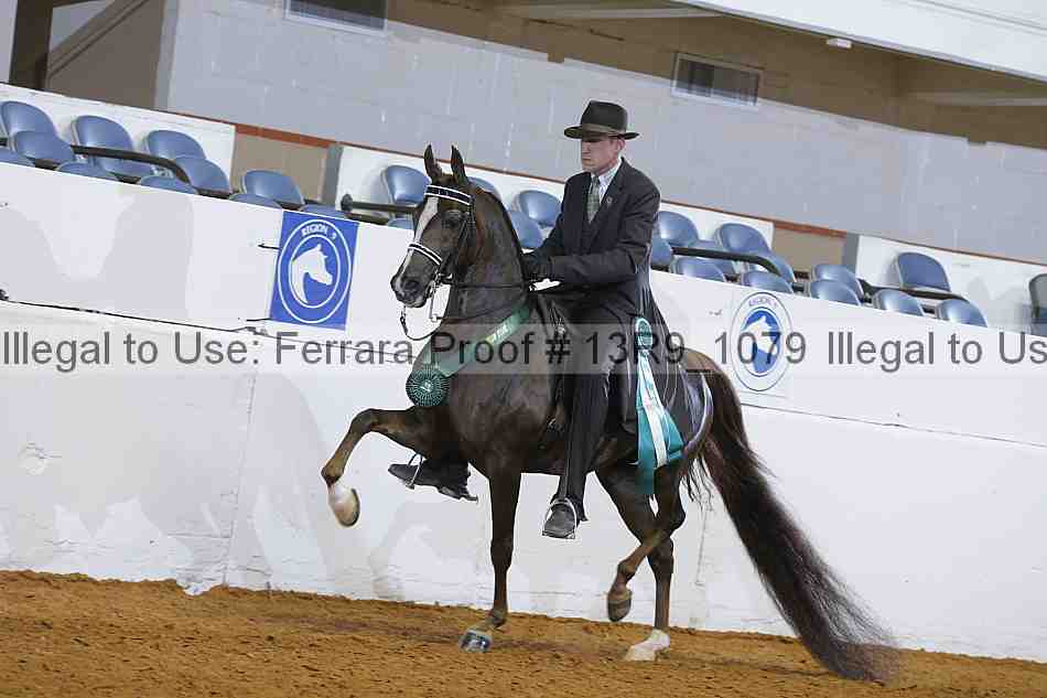 Proof 13r9_1079