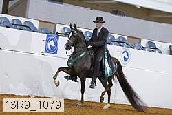 13r9_1079 proof