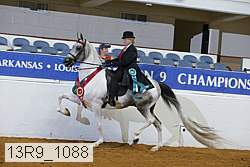 13r9_1088 proof