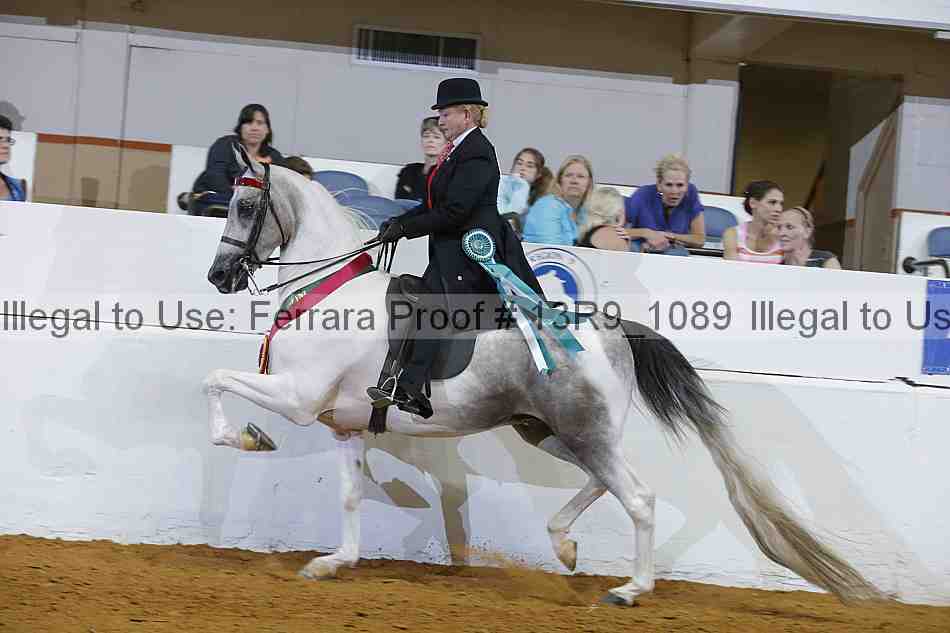 Proof 13r9_1089