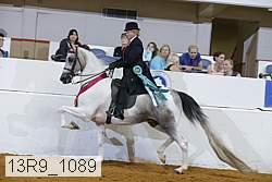 13r9_1089 proof