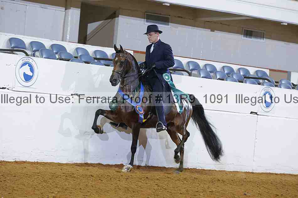 Proof 13r9_1091