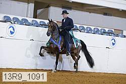 13r9_1091 proof