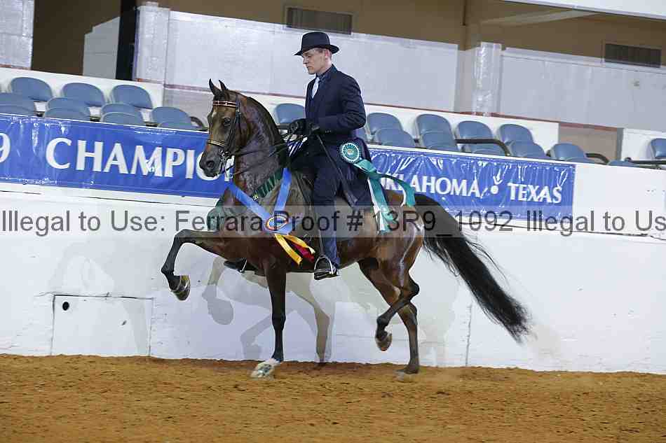 Proof 13r9_1092