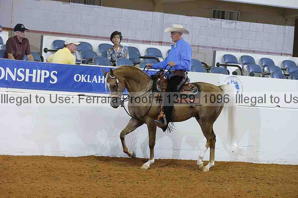 Proof 13r9_1096