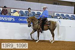 13r9_1096 proof