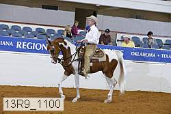 13r9_1100 proof