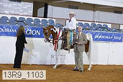 13r9_1103 proof