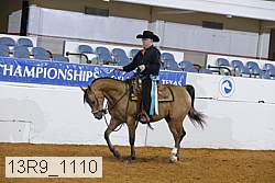 13r9_1110 proof