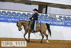 13r9_1111 proof