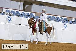 13r9_1113 proof