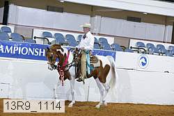 13r9_1114 proof