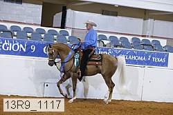 13r9_1117 proof