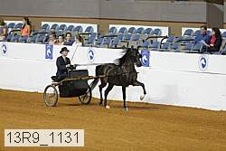 13r9_1131 proof