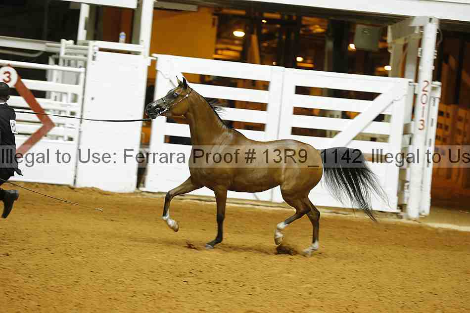 Proof 13r9_1142